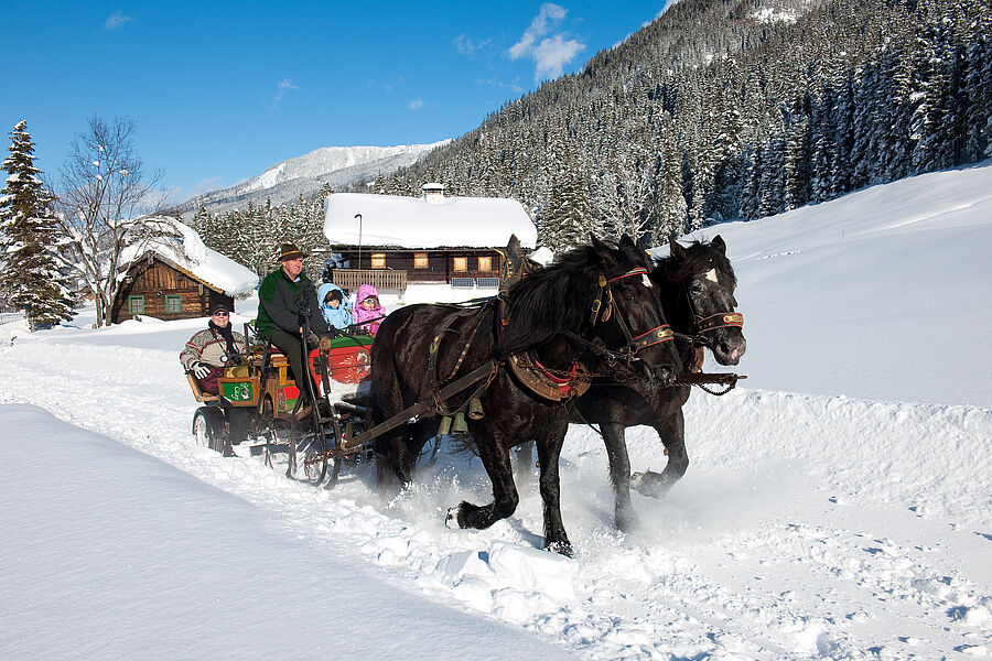Romantic horse-drawn sleigh ride at Jägersee
