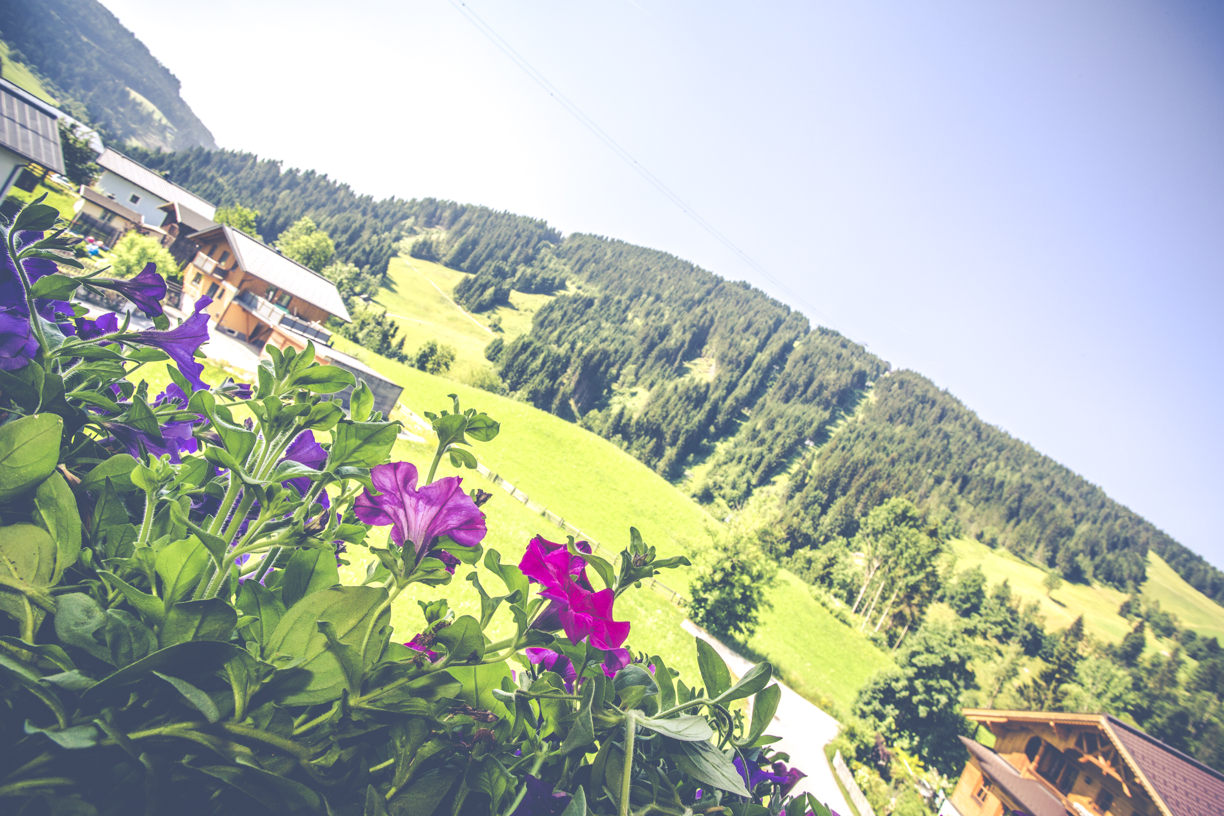 Ausblick vom Balkon auf die Bergwelt!