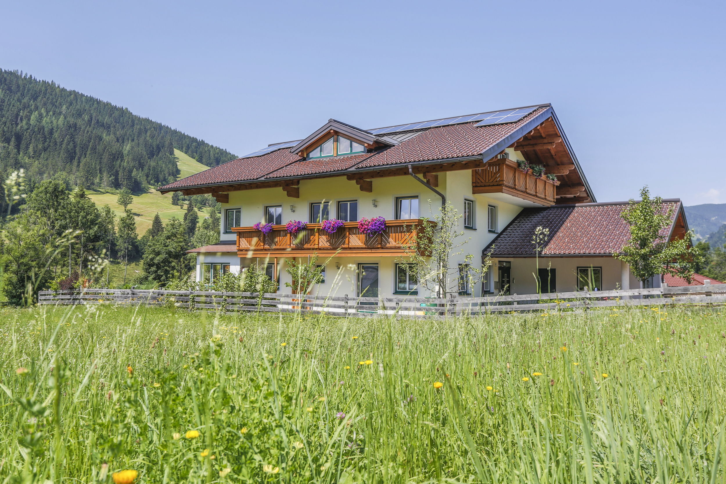 Holiday apartment in the middle of nature